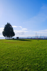 Obraz premium grass and blue sky, sea in Lisbon, Portugal