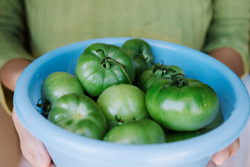 Woman is holding heap of unripe, delicious and green tomatoes in a bowl.