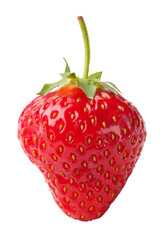 fresh strawberries