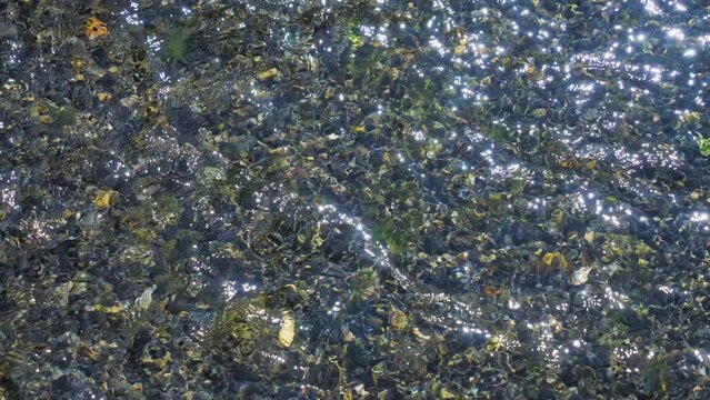 小川の水面に反射する太陽の光　キラキラ