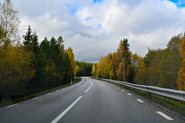 Naklejka premium Foto from car driving through autumn forest in Sweden
