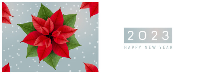 Happy new year and Christmas vector illustration. Christmas flower, snowflakes festive backroung