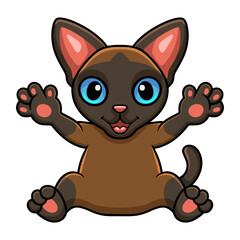 Obraz premium Cute tonkinese cat cartoon raising hands