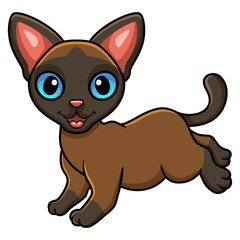 Cute tonkinese cat cartoon walking