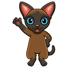 Cute tonkinese cat cartoon waving hand