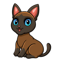 Cute tonkinese cat cartoon sitting