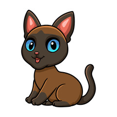Cute tonkinese cat cartoon sitting