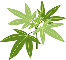 Fototapeta premium simplicity cannabis plant freehand drawing