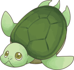 ウミガメ