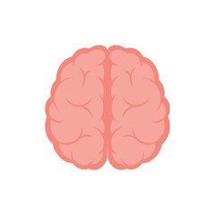 Human brain, top view, illustration, vector