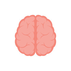 Human brain, top view, illustration, vector