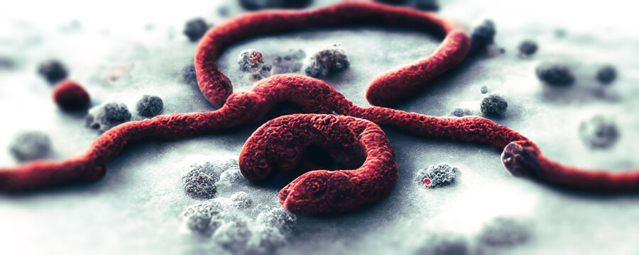 Electron microscope concept of ebola virus, ebola viral infection, ebola epidemics 3d rendering