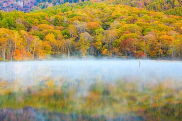 autumn landscape with lake
