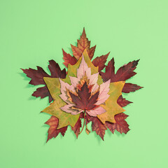 Big maple leaaf made of smaller leaves on light green background