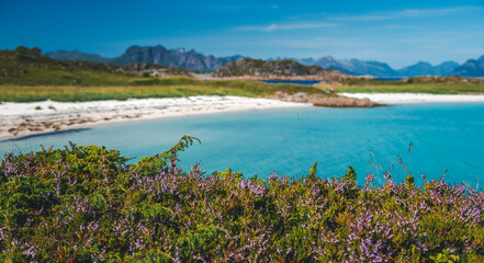 Beautiful Scandinavian landscape. White sand beaches in the Lofoten Islands in Norway