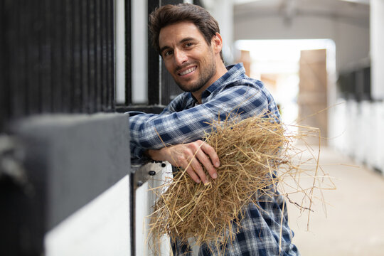 man in working clothes feeding horse with hay at stable