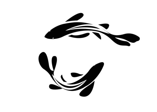 Two fish drawn in the style of Chinese or Japanese painting with strokes of black paint. Vector illustration. Koi Fish Painting.