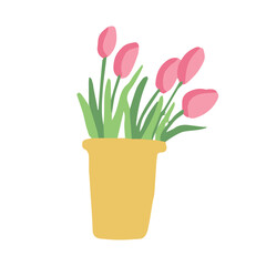 pink tulips in flower pot on the white background