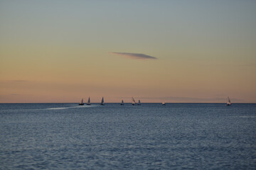 Regatta at evening in the baltics
