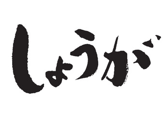 しょうが_2