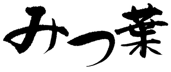 みつ葉_01 © 菜美穂 松井