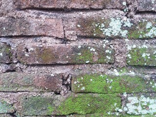 Dark gray concrete wall texture for background. Cement wall. Dark gray concrete wall texture for background. Cement wall.