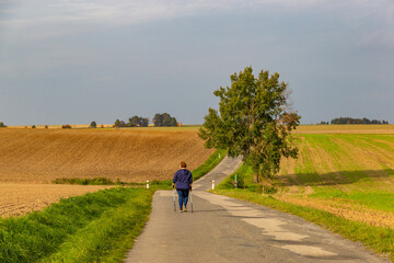 Fototapeta premium Plus size woman walking on the road. Nordic walking as healthy lifestyle and weight loss concept.