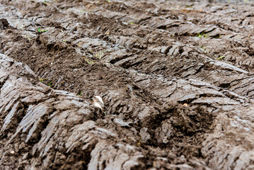 Dark wide wet soil ways,trails.Outdoor Natural brown,grey dirty texture of organic and plowed rural land in country farm.Closeup of plowed soil with furrows. Spring agricultural work