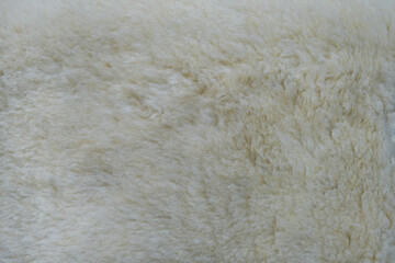 Background close-up of skins with ram fur.