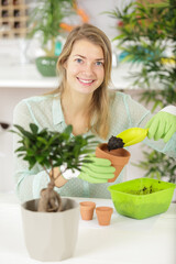 lovely housewife with plant in pot and gardening set