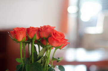 Top view of beautiful red roses bouquet against white background with bokeh. Greeting card. 8 March. Mother's Day. Happy Woman Day.