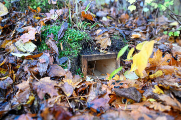 home made hedgehog nest covered in soil and leaves