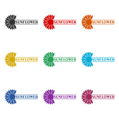 Sunflower logo icon isolated on white background. Set icons colorful