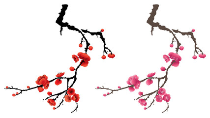 Plum blossom drawing presented in Chinese ink painting style. PNG file.