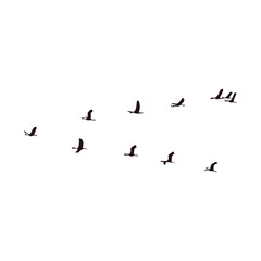 Flock of birds flying icon vector illustration design isolated