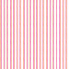 Obraz premium Double line seamless pattern