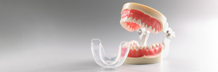 Human tooth model, teeth orthodontic dental model or human jaw, mouthpiece - obrazy, fototapety, plakaty