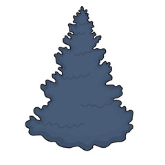Spruce