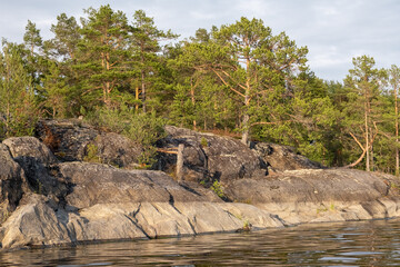 Ladoga lake. Panorama of the Republic of Karelia. Northern nature of Russia. Island with pines