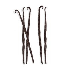 Vanilla. Fresh vanilla pods. Isolated. Top view. Transparent background. Precision cut and impeccable finish that allows the addition of different and colored backgrounds.