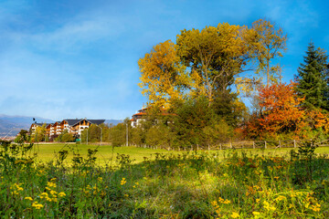 Bansko, Bulgaria autumn landscape, colorful trees