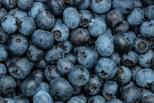 Wimberry Bilder – Durchsuchen 140,372 Archivfotos, Vektorgrafiken und ...