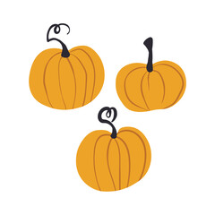 Halloween pumpkin. Cute Pumpkins or ghost. Vector autumn holidays illustration