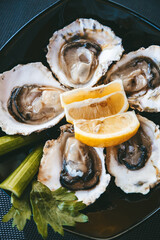Fresh oysters with lemon and celery on a plate
