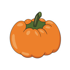 Halloween pumpkin. Cute Pumpkins or ghost. Vector autumn holidays illustration