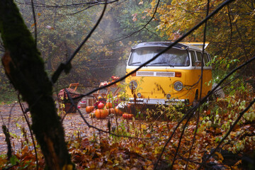 fall composition with old van, pumpkins, flowers and picnic chairs and table on the autumn forest background