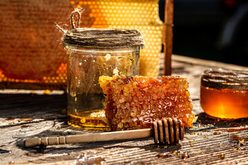 Macro photo of a bee hive on a honeycomb. Bees produce fresh, healthy, honey. Honey background. Beekeeping concept. Long banner format