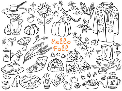 Autumn doodle set - Pumpkin, hat, dog, sunflower, cup, branch, berry, mushrooms, apples, wheat, autumn clothes. Vector illustration. Perfect for coloring book, greeting card, print.