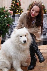 Young woman on background of Christmas tree with white samoyed dog outdoors. Yard decoration for New Year