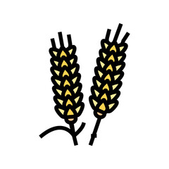 ear barley grain color icon vector. ear barley grain sign. isolated symbol illustration